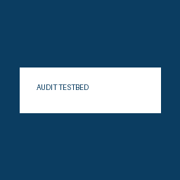Audit Testbed B.V.